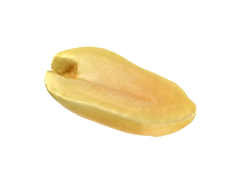 Half Peeled Peanut 02 3D Model