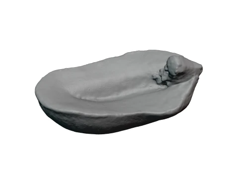 Half Peeled Peanut 01 - For 3D Print 3D Print Model