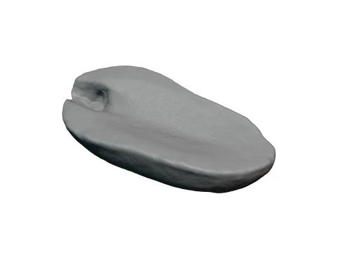 Half Peeled Peanut 02 - For 3D Print 3D Print Model