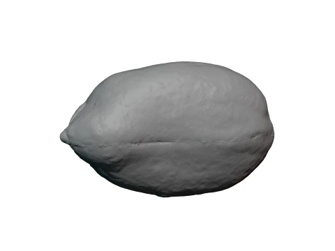 Peeled Peanut - For 3D Print 3D Print Model