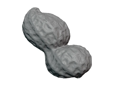 Peanut Shell 01 - For 3D Print 3D Print Model