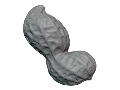 Peanut Shell 02 - For 3D Print 3D Print Model