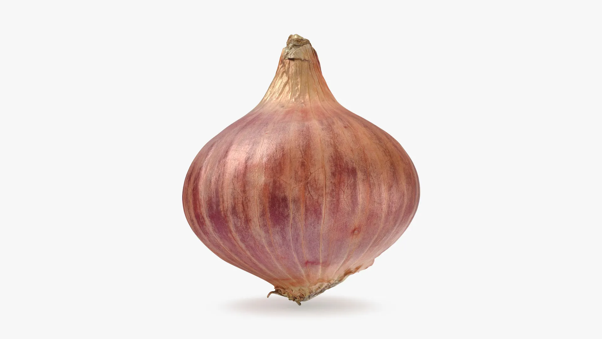 Shallot 01 3D Model .c4d .max .obj .3ds .fbx .stl .blend 