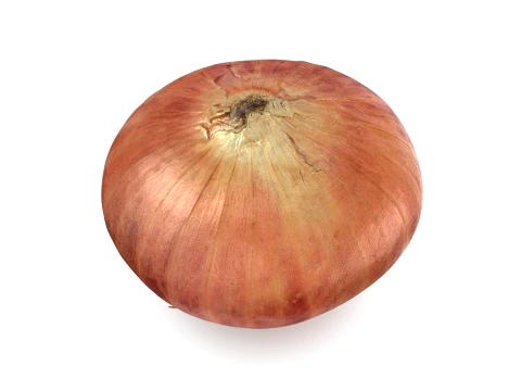 Shallot 03 3D Model