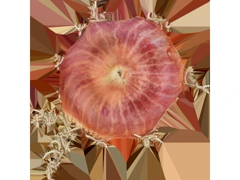 Shallot 03 3D Model