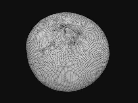 Shallot 03 3D Model