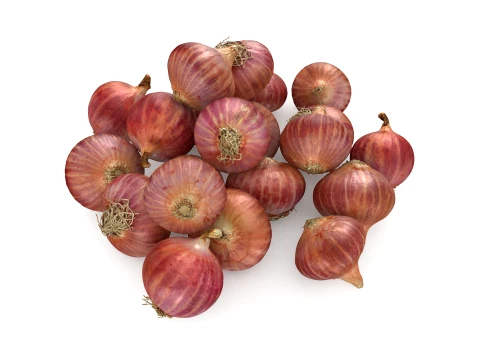 Shallots Pile 3D Model