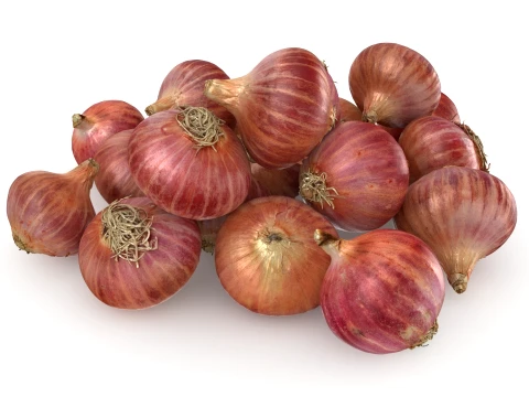 Shallots Pile 3D Model