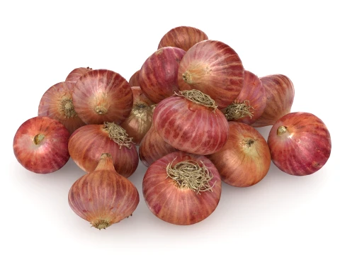 Shallots Pile 3D Model