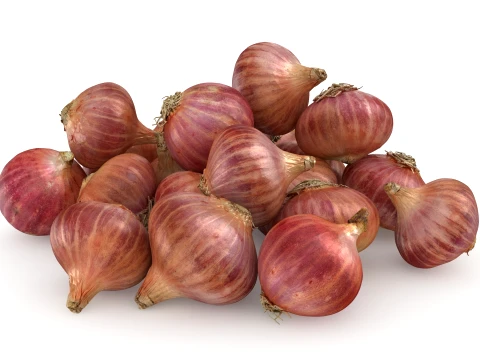 Shallots Pile 3D Model