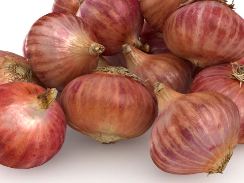 Shallots Pile 3D Model