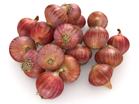 Shallots Pile 3D Model