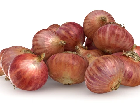 Shallots Pile 3D Model