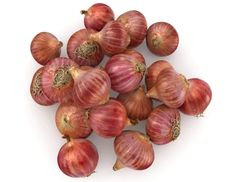 Shallots Pile 3D Model