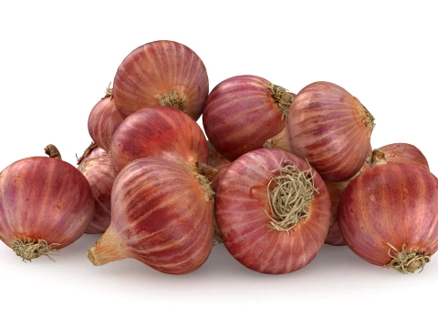 Shallots Pile 3D Model