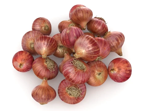 Shallots Pile 3D Model