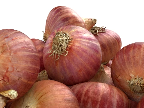 Shallots Pile 3D Model