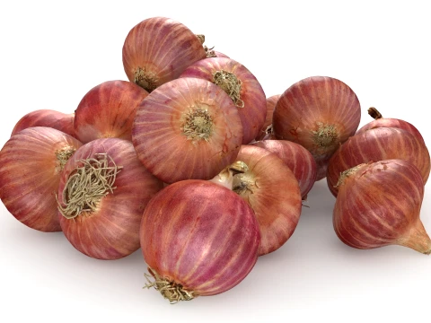 Shallots Pile 3D Model