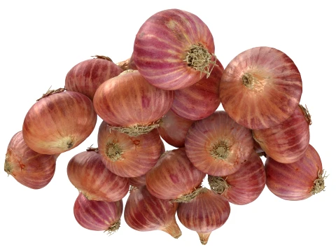 Shallots Pile 3D Model