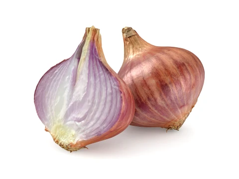 Shallot Whole and Half 3D Model