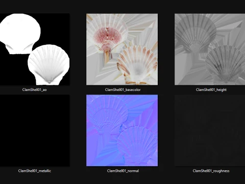 Clam Shell 01 3D Model