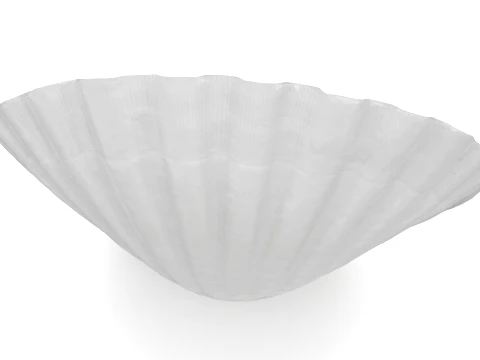 Clam Shell 03 3D Model