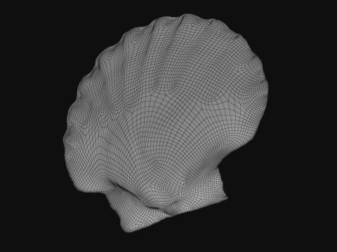 Clam Shell 03 3D Model