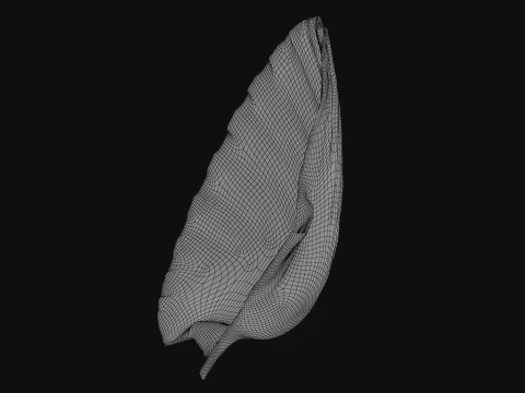 Clam Shell 03 3D Model