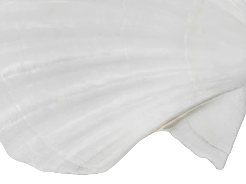 Clam Shell 03 Pose 2 3D Model