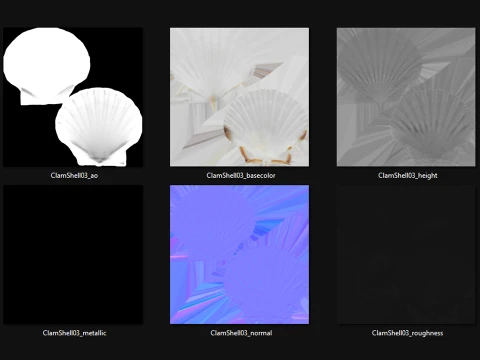 Clam Shell 03 Pose 2 3D Model