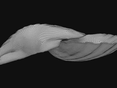 Clam Shell 03 Pose 2 3D Model