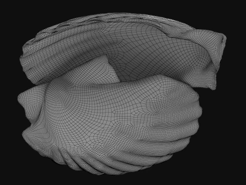 Clam Shell 03 Pose 2 3D Model