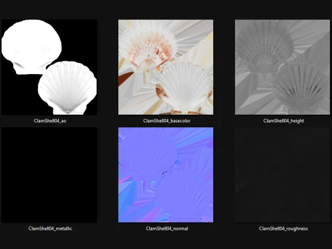 Clam Shell 04 3D Model