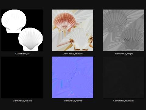 Clam Shell 05 3D Model