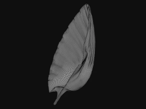 Clam Shell 05 3D Model
