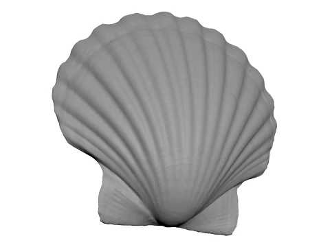 Clam Shell - For 3D Print 3D Print Model