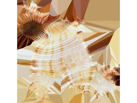 Monoplex Pilearis 3D Model