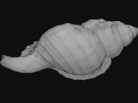 Monoplex Pilearis 3D Model