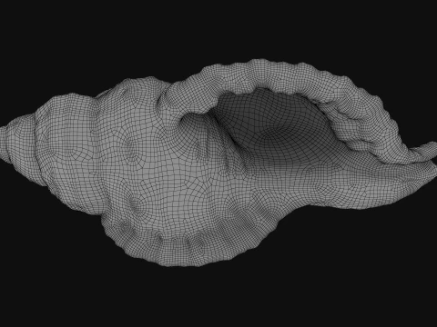 Monoplex Pilearis 3D Model