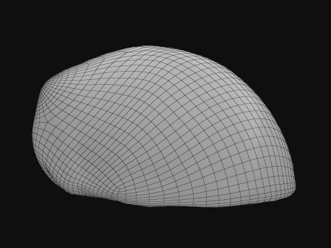 Natica Vitellus 3D Model