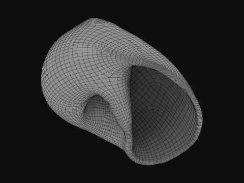 Natica Vitellus 3D Model