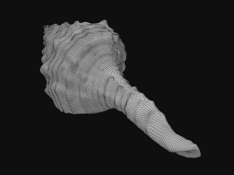Nicobar Spindle 3D Model