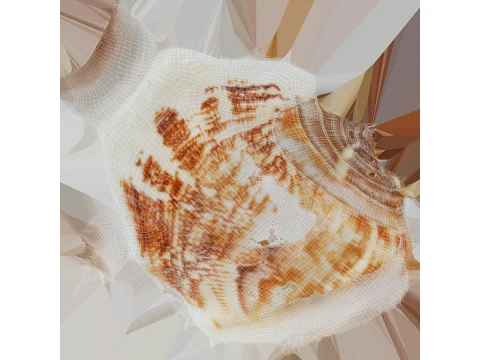 Pierced Shell Cones 3D Model