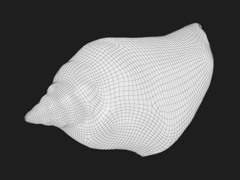 Pierced Shell Cones 3D Model