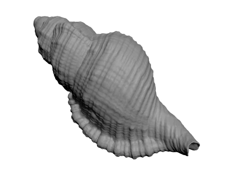 Monoplex Pilearis - For 3D Print 3D Print Model