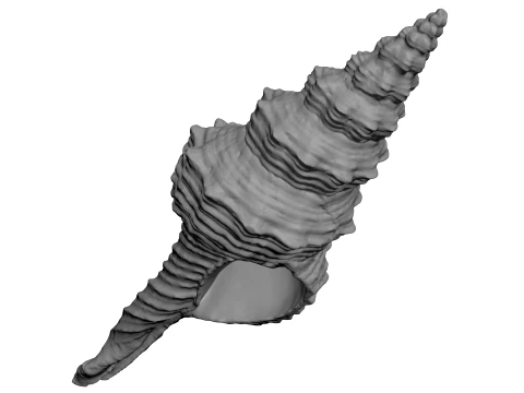 Nicobar Spindle - For 3D Print 3D Print Model