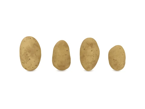 Stylized Potatoes 3D मॉडल