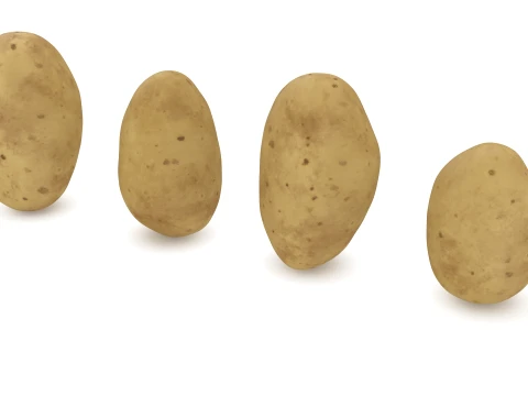 Stylized Potatoes 3D Model