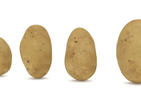 Stylized Potatoes 3D Model