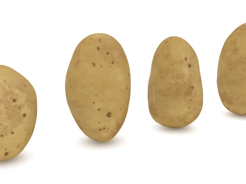 Stylized Potatoes 3D Model
